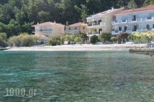 Avlakia Beach Studios & Apartments_lowest prices_in_Apartment_Aegean Islands_Samos_Samos Chora