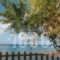 Calypso Studios_best deals_Hotel_Ionian Islands_Zakinthos_Zakinthos Rest Areas