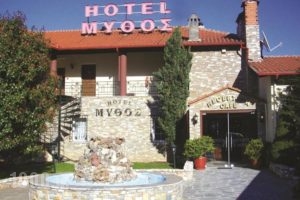 Mythos_accommodation_in_Hotel_Macedonia_Kozani_Servia