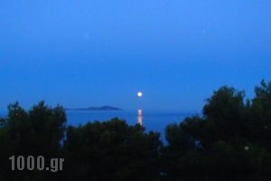 Ikion Eco Boutique Hotel_best deals_Hotel_Sporades Islands_Alonnisos_Patitiri