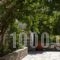 Kolios House_best deals_Hotel_Sporades Islands_Skiathos_Skiathos Chora