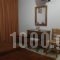 Hotel Alexandrion_best deals_Hotel_Thessaly_Magnesia_Pilio Area