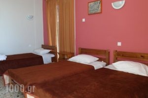 Hotel Alexandrion_best prices_in_Hotel_Thessaly_Magnesia_Pilio Area