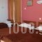 Hotel Alexandrion_best prices_in_Hotel_Thessaly_Magnesia_Pilio Area
