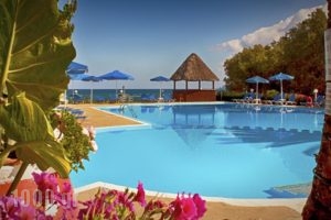 Camping Nopigia_best deals_Hotel_Crete_Chania_Kissamos