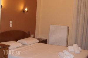 Hotel Themisto_best prices_in_Hotel_Peloponesse_Achaia_Diakopto