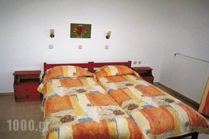 Anemos Apartments_lowest prices_in_Apartment_Crete_Rethymnon_Plakias