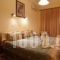 Hermes Hotel_best deals_Hotel_Central Greece_Fokida_Delfi