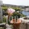 Chriason Studios & Apartments_travel_packages_in_Sporades Islands_Skyros_Skyros Rest Areas