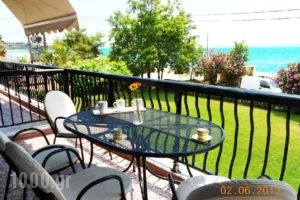 Karali Studios_best deals_Hotel_Macedonia_Halkidiki_Nikiti