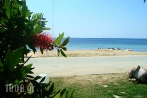 Karali Studios_holidays_in_Hotel_Macedonia_Halkidiki_Nikiti