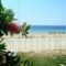 Karali Studios_holidays_in_Hotel_Macedonia_Halkidiki_Nikiti