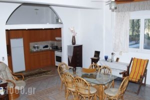 Villa Aris_best prices_in_Villa_Crete_Heraklion_Gouves