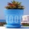 Blue Harmony Apartments_best deals_Apartment_Cyclades Islands_Naxos_Naxos chora