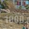 Ydreos Studios & Apartments_lowest prices_in_Apartment_Cyclades Islands_Naxos_Mikri Vigla