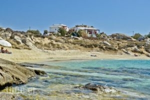 Ydreos Studios & Apartments_best deals_Apartment_Cyclades Islands_Naxos_Mikri Vigla