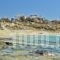 Ydreos Studios & Apartments_best deals_Apartment_Cyclades Islands_Naxos_Mikri Vigla