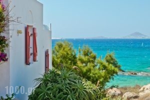 Ydreos Studios & Apartments_best prices_in_Apartment_Cyclades Islands_Naxos_Mikri Vigla