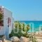 Ydreos Studios & Apartments_travel_packages_in_Cyclades Islands_Naxos_Mikri Vigla