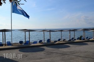 Hotel Regos_holidays_in_Hotel_Macedonia_Halkidiki_Neos Marmaras