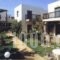 Pelamare_best deals_Hotel_Crete_Heraklion_Vathianos Kambos