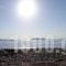 Niki Studios Sea - Front_best deals_Hotel_Aegean Islands_Lesvos_Petra