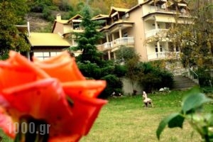 Alkyonis Hotel & Spa_travel_packages_in_Macedonia_Pella_Aridea