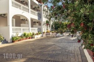 Ragias Studios_best prices_in_Hotel_Ionian Islands_Zakinthos_Zakinthos Rest Areas