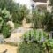 Alkionides Villas_best deals_Villa_Crete_Lasithi_Sitia