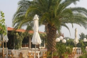 Haris Hotel_holidays_in_Hotel_Macedonia_Halkidiki_Haniotis - Chaniotis