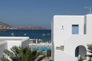 Kosmitis Hotel_best deals_Hotel_Cyclades Islands_Paros_Paros Chora