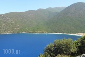 Leonidas Studios_best prices_in_Hotel_Ionian Islands_Kefalonia_Kefalonia'st Areas