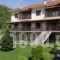Guesthouse Anastasia_travel_packages_in_Epirus_Ioannina_Kefalochori
