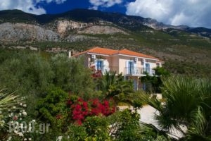 Summer Dream_accommodation_in_Hotel_Ionian Islands_Kefalonia_Vlachata