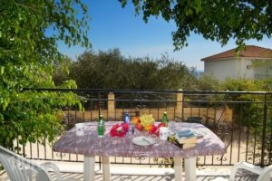 Summer Dream_holidays_in_Hotel_Ionian Islands_Kefalonia_Vlachata
