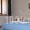 Pension Gioula_lowest prices_in_Hotel_Sporades Islands_Alonnisos_Patitiri