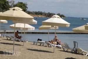 Hotel Petit Village_best deals_Hotel_Central Greece_Evia_Eretria