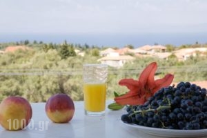 Pansion Filoxenia Apartments & Studios_travel_packages_in_Ionian Islands_Lefkada_Lefkada Chora