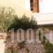 Sea View Hotel_best deals_Hotel_Dodekanessos Islands_Tilos_Livadia