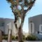 Archipelagos Resort_accommodation_in_Hotel_Cyclades Islands_Antiparos_Antiparos Chora