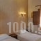 Polys Guest House_best deals_Hotel_Macedonia_Pieria_Katerini