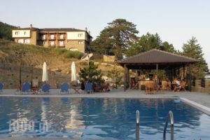 Vasilitsa Spa Resort_lowest prices_in_Hotel_Epirus_Ioannina_Fraggades