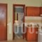 Studios Metaxas_best deals_Hotel_Aegean Islands_Thasos_Limenaria