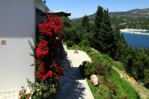 Villa Polyxeni Apartments_best prices_in_Villa_Ionian Islands_Lefkada_Sivota