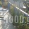 Enalion Apartments_best deals_Apartment_Aegean Islands_Lesvos_Lesvos Rest Areas