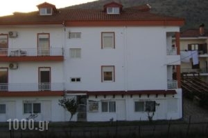 Apartments Tsiolas_best deals_Apartment_Macedonia_Kozani_Siatista