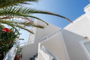 Makris Hotel_lowest prices_in_Hotel_Cyclades Islands_Sandorini_kamari