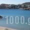 Hotel Kamelo_best prices_in_Hotel_Cyclades Islands_Syros_Syrosst Areas