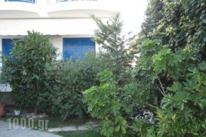 Leventis Apartments_best prices_in_Apartment_Central Greece_Evia_Limni