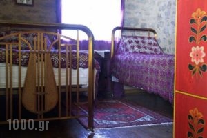 Proselinos_lowest prices_in_Hotel_Peloponesse_Arcadia_Dimitsana